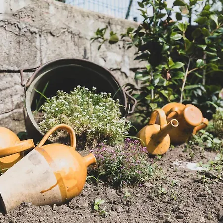 Apartmán Tra Maggiore E D'orta Acqua *