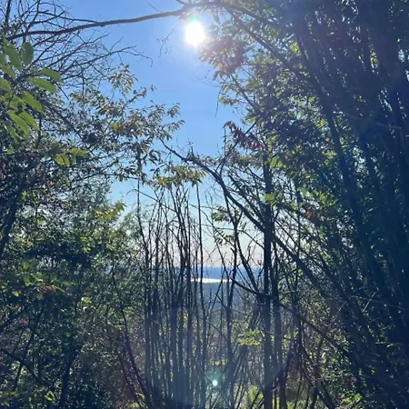 Apartmán Tra Maggiore E D'orta Acqua Colazza