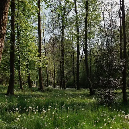 Apartamento Tra Maggiore E D'orta Acqua