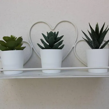 Tra Maggiore E D'orta Acqua Apartmán Colazza