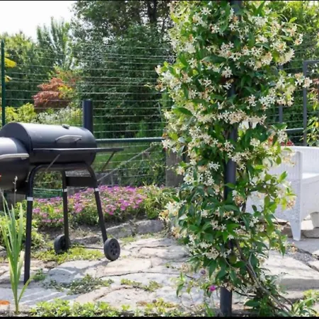 Tra Maggiore E D'orta Acqua Colazza