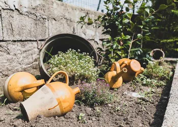 شقة Tra Maggiore E D'orta Acqua *