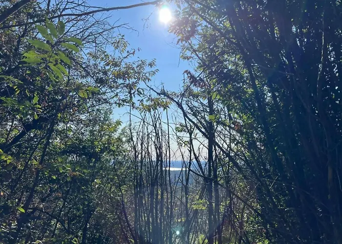 아파트 Tra Maggiore E D'orta Acqua 콜라자