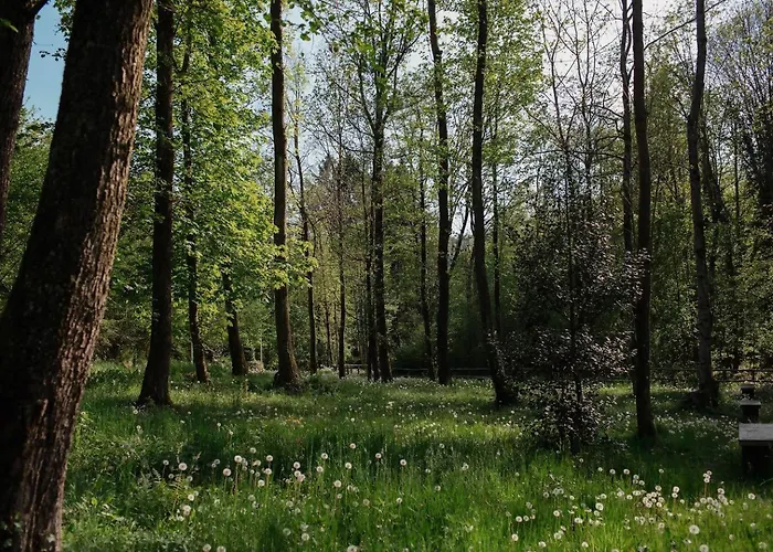 شقة Tra Maggiore E D'orta Acqua