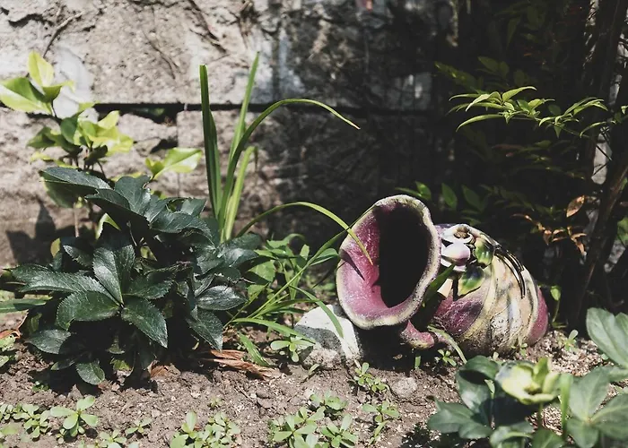 Tra Maggiore E D'orta Acqua * 콜라자